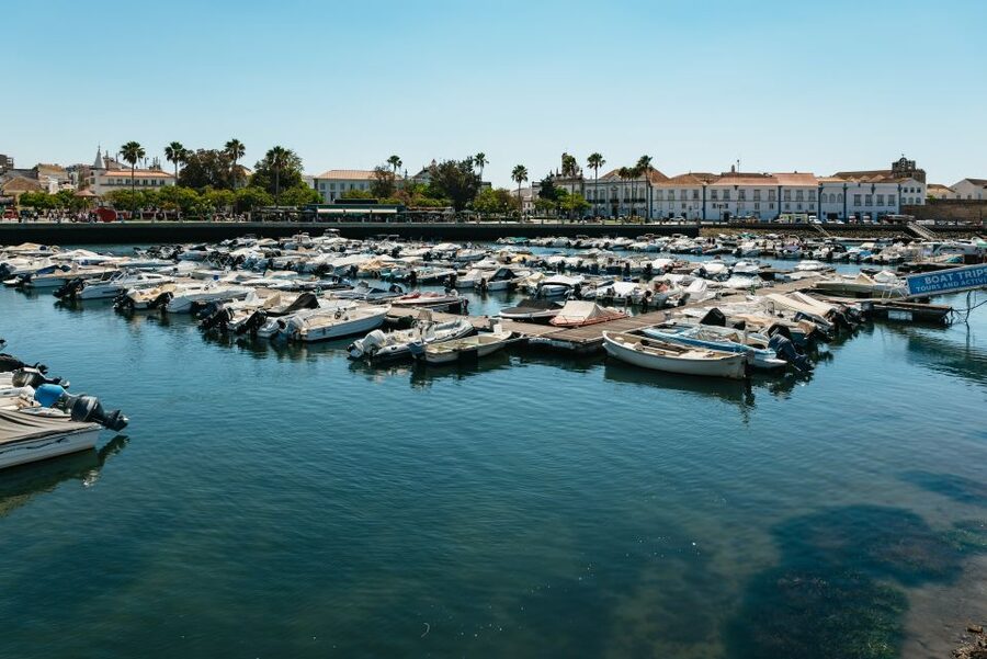 Faro: Deserta Island and Farol Island Catamaran Boat Trip - Farol Island and the Culatra Lighthouse