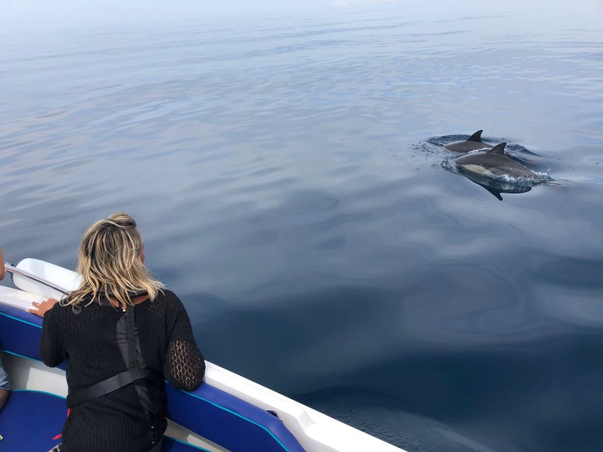 Faro: Dolphin and Wildlife Watching in the Atlantic Ocean - From Faro Marina to the Ria Formosa