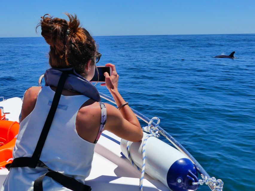 Faro: Dolphin and Wildlife Watching in the Atlantic Ocean - What the boat ride feels like