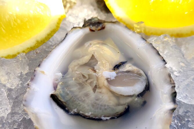 Faro Food Tour & Drinks and City highlights 10 Tastings - The medieval Arco do Repouso