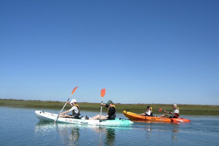 Faro: Kayak Hire in Ria Formosa Natural Park - Should you book the Ria Formosa kayak hire?