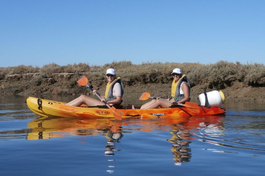 Faro: Kayak Hire in Ria Formosa Natural Park - Two and a half hours or four hours on the water