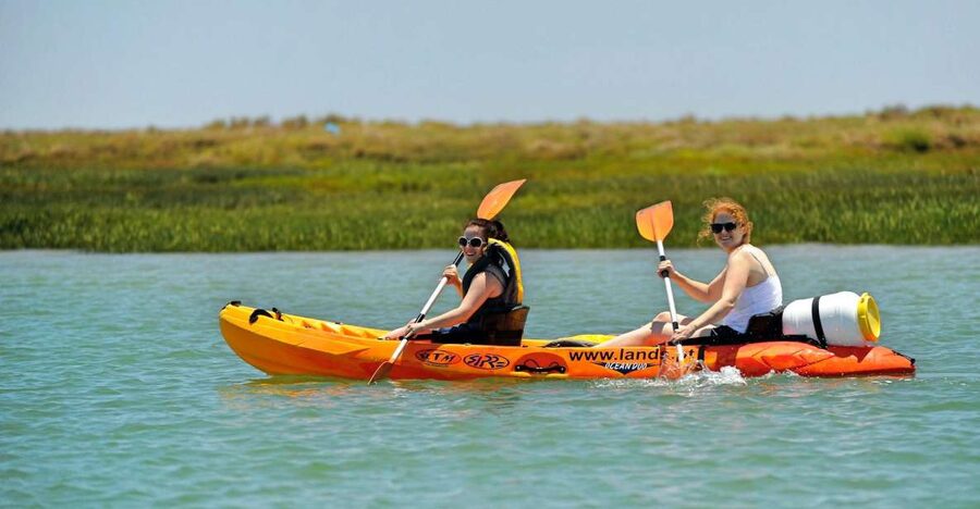 Faro: Kayak Hire in Ria Formosa Natural Park - The value of an unguided $40 rental