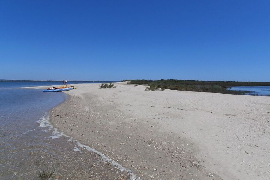 Faro: Kayak Hire in Ria Formosa Natural Park - What to bring for comfort and safety