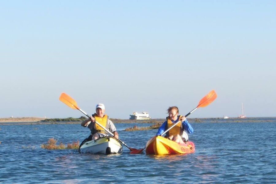Faro: Kayak Hire in Ria Formosa Natural Park - Who will enjoy this most