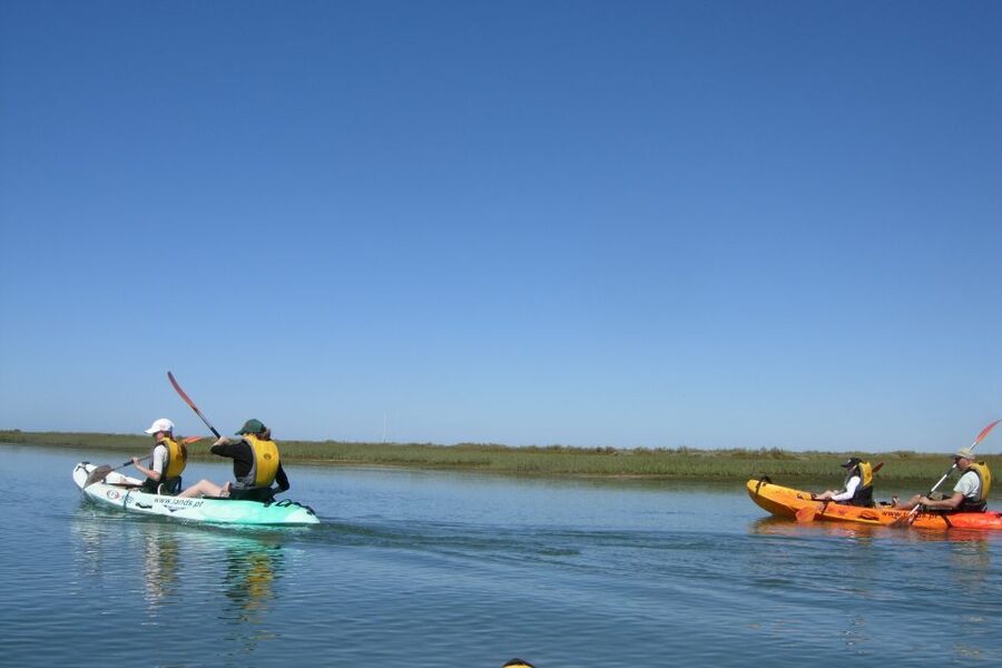 Faro: Kayak Hire in Ria Formosa Natural Park - Booking details that matter