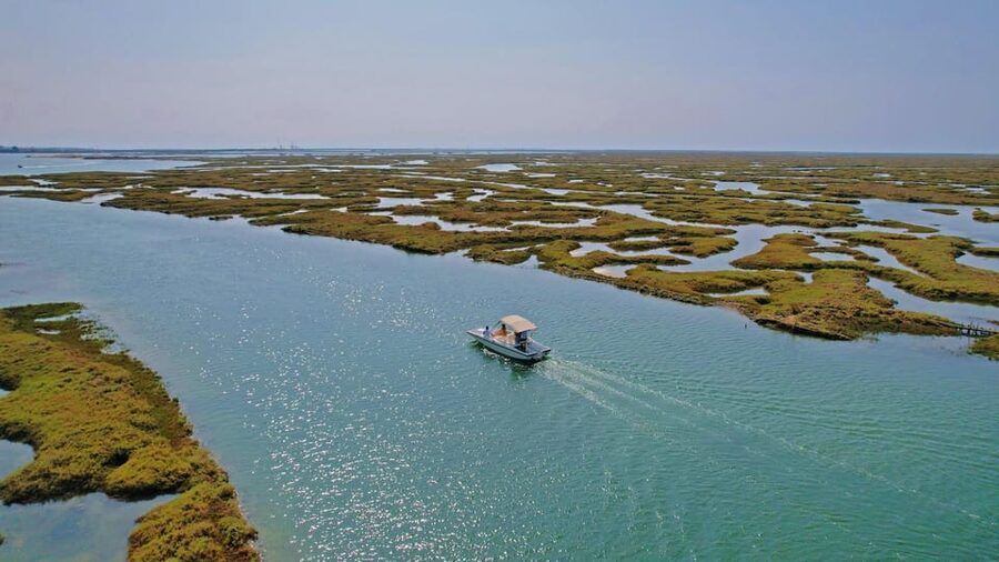 Faro: Ria Formosa Boat Tour by Eco-Friendly Solar Boat - A quiet way to meet the Ria Formosa