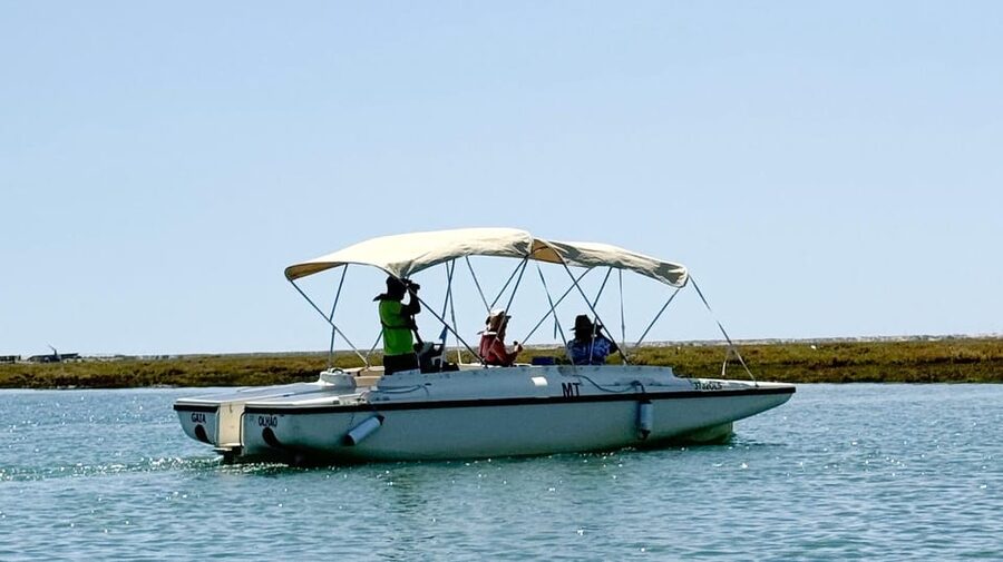 Faro: Ria Formosa Boat Tour by Eco-Friendly Solar Boat - Birdwatching without the engine noise