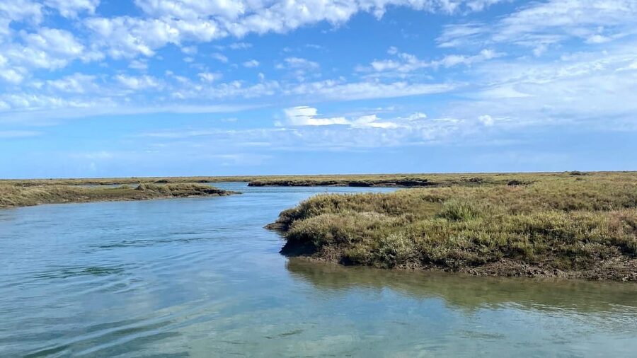 Faro: Ria Formosa Boat Tour by Eco-Friendly Solar Boat - Guides who make the short ride count