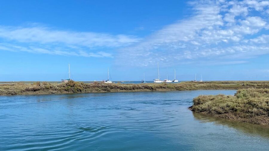Faro: Ria Formosa Boat Tour by Eco-Friendly Solar Boat - Who should book this Faro excursion?