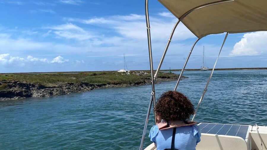 Faro: Ria Formosa Boat Tour by Eco-Friendly Solar Boat - One hour through the protected marshes