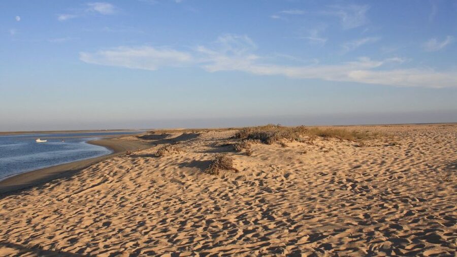 Faro: Ria Formosa Eco Birdwatching Boat Tour - A quiet start at Cais das Portas do Mar