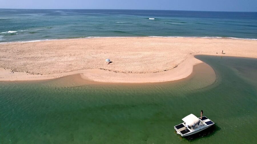 Faro: Ria Formosa Eco Birdwatching Boat Tour - FAQ