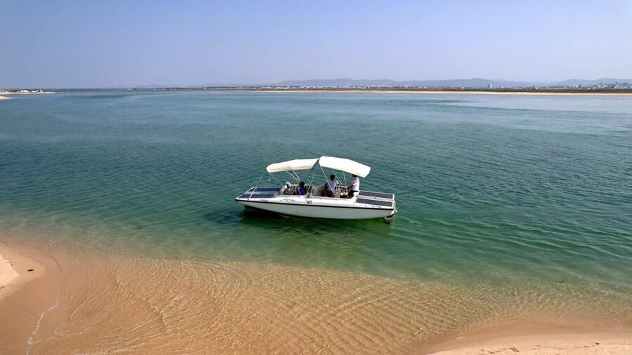 Faro: Ria Formosa Eco Birdwatching Boat Tour - Barrinha Beach and the open coast