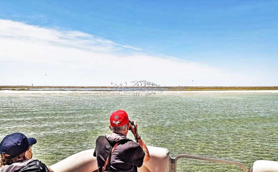 Faro: Ria Formosa Faro Islands Boat Tour - Farol Island and the Santa Maria Lighthouse