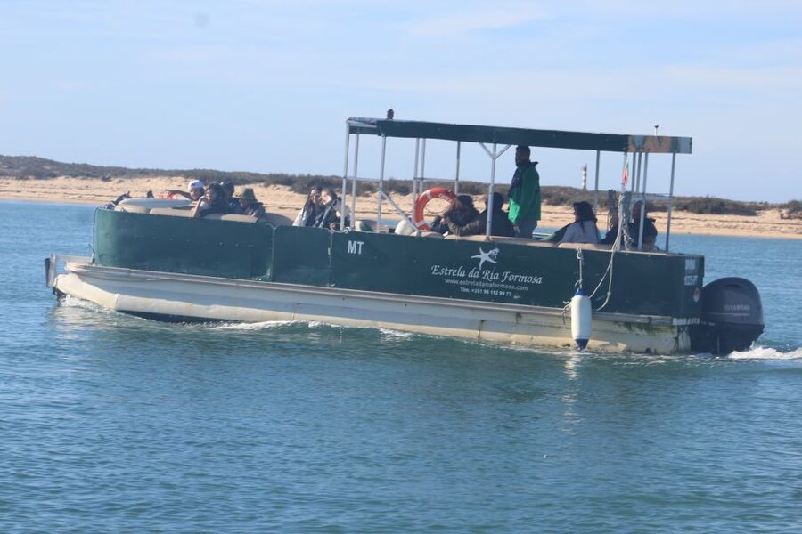 Faro: Ria Formosa Guided Sunset Tour by Catamaran - Seeing Ria Formosa from the channels