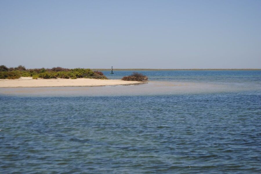 Faro: Ria Formosa Lagoon Small Boat Tour with Local Guide - Should you book the one-hour Ria Formosa tour?