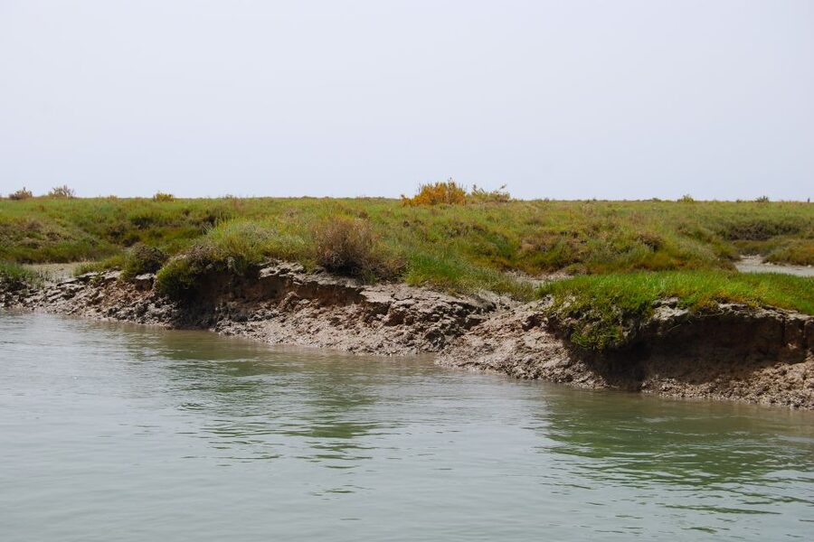 Faro: Ria Formosa Lagoon Small Boat Tour with Local Guide - What to wear and bring