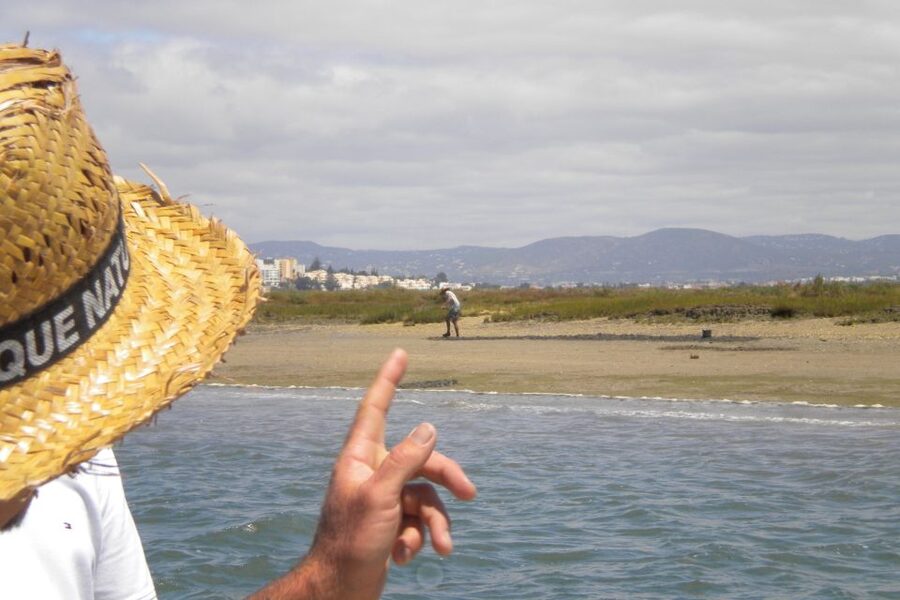 Faro: Ria Formosa Lagoon Small Boat Tour with Local Guide - Who should book this Faro cruise?