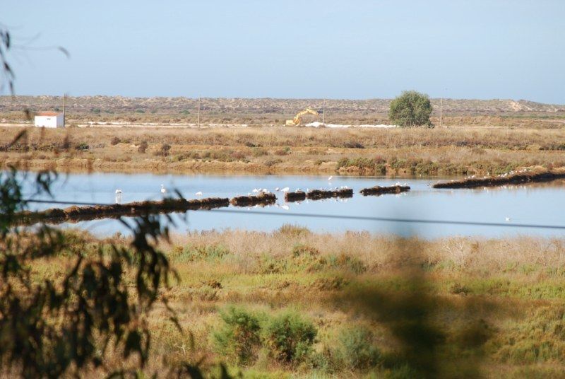 Faro: Ria Formosa Natural Park Segway Tour & Birdwatching - Key points to know before booking