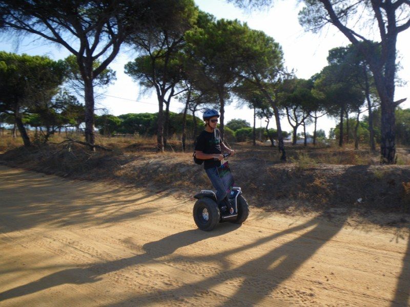 Faro: Ria Formosa Natural Park Segway Tour & Birdwatching - The best season for this Faro outing