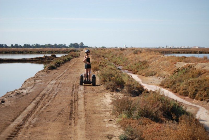 Faro: Ria Formosa Natural Park Segway Tour & Birdwatching - Birdwatching at Ludo and Faro Beach