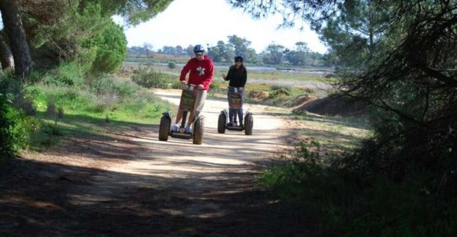 Faro: Ria Formosa Natural Park Segway Tour & Birdwatching - A family activity with a few limits