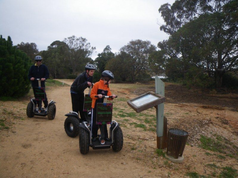 Faro: Ria Formosa Natural Park Segway Tour & Birdwatching - Timing, meeting point, and what to bring