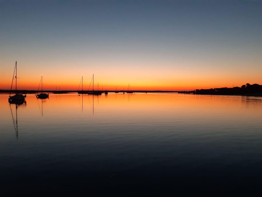 Faro: Ria Formosa Sunset Nature Boat Tour - Starting at Faro’s old-town pier
