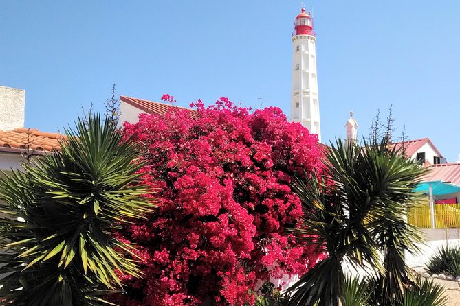 Faro - Ria Formosa tour with visit to 2 islands (Deserta, Farol) 3.5 hours - Should you book the Ria Formosa island tour?