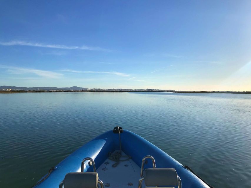 Faro: Speed Boat Tour - Why a speedboat is a smart way to see Faro’s islands