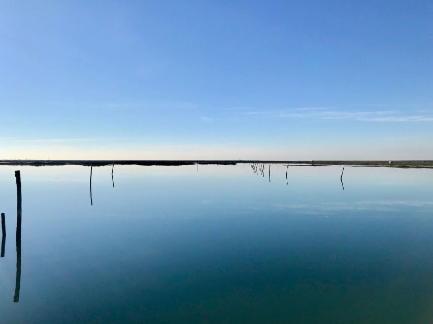 Faro: Speed Boat Tour - Practical drawbacks to keep in mind