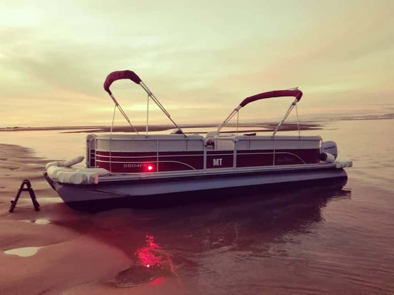 Faro: Sunset 1 hour Ria Formosa Boat Tour - Boarding the modern catamaran
