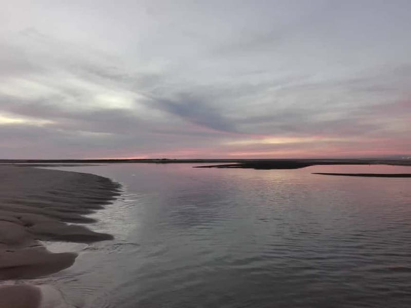 Faro: Sunset 1 hour Ria Formosa Boat Tour - Who will enjoy this boat tour most