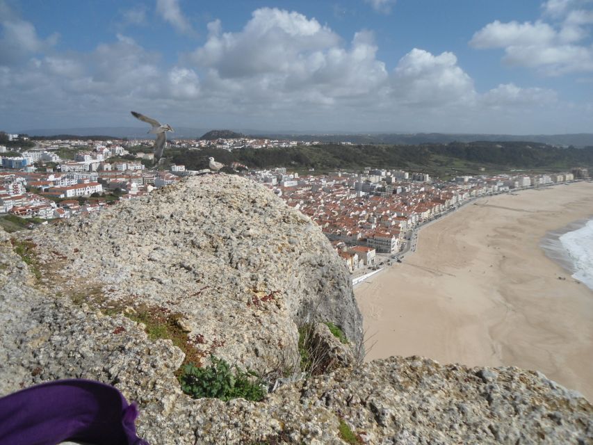 Fátima, Batalha, Alcobaça, Nazaré and Óbidos Private Tour - Who should book this tour