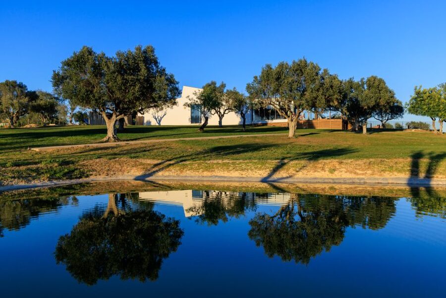 From Albufeira: 4x4 Off-Road Safari & Vineyard Wine Tasting - Timing, weather, and what to bring