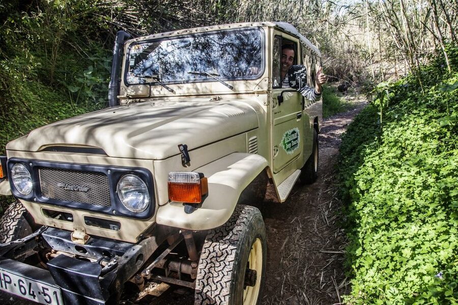 From Albufeira: Algarve Sunset Jeep Tour with Tastings - Cork oak trees and a working countryside
