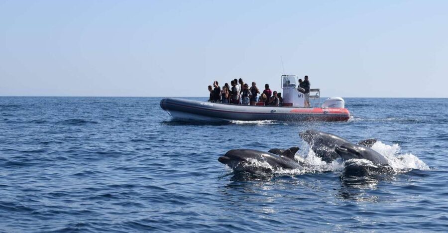 From Albufeira: Benagil Caves and Dolphins Guided Boat Tour - Entering caves that larger boats cannot reach