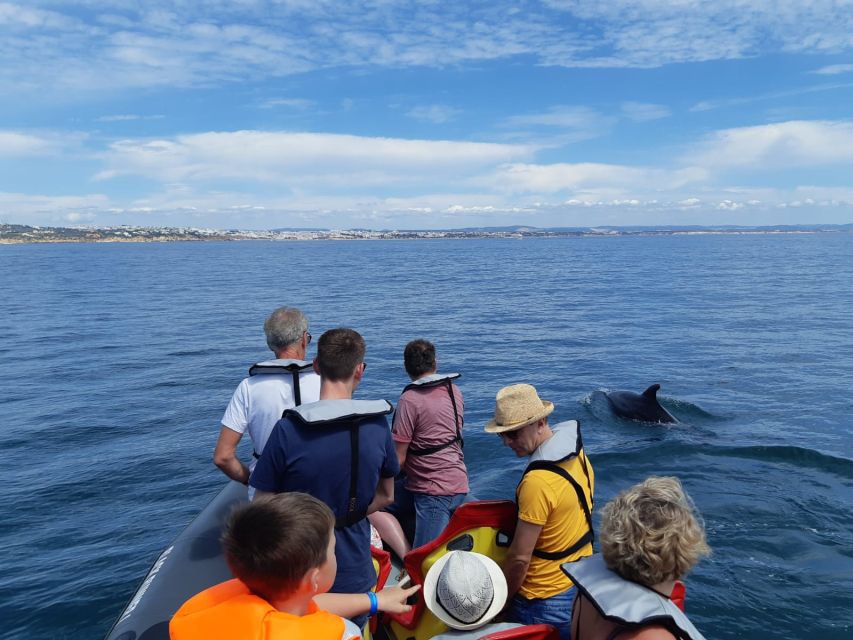 From Albufeira: Benagil Caves and Dolphins Guided Boat Tour - Who should book this boat trip