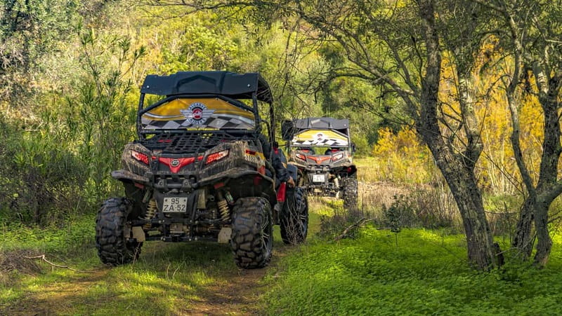 From Albufeira: Half-Day Buggy Adventure Tour - What the scenery is really like