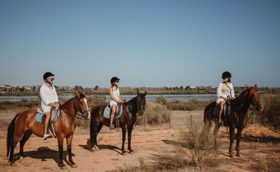 From Albufeira: Half-Day Hidden Gems & Horse Riding Tour - A Four-Hour Tour With Two Distinct Halves