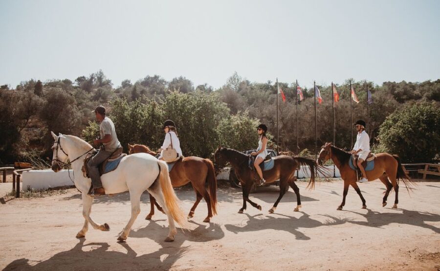 From Albufeira: Half-Day Hidden Gems & Horse Riding Tour - The Best Time to Book This Experience