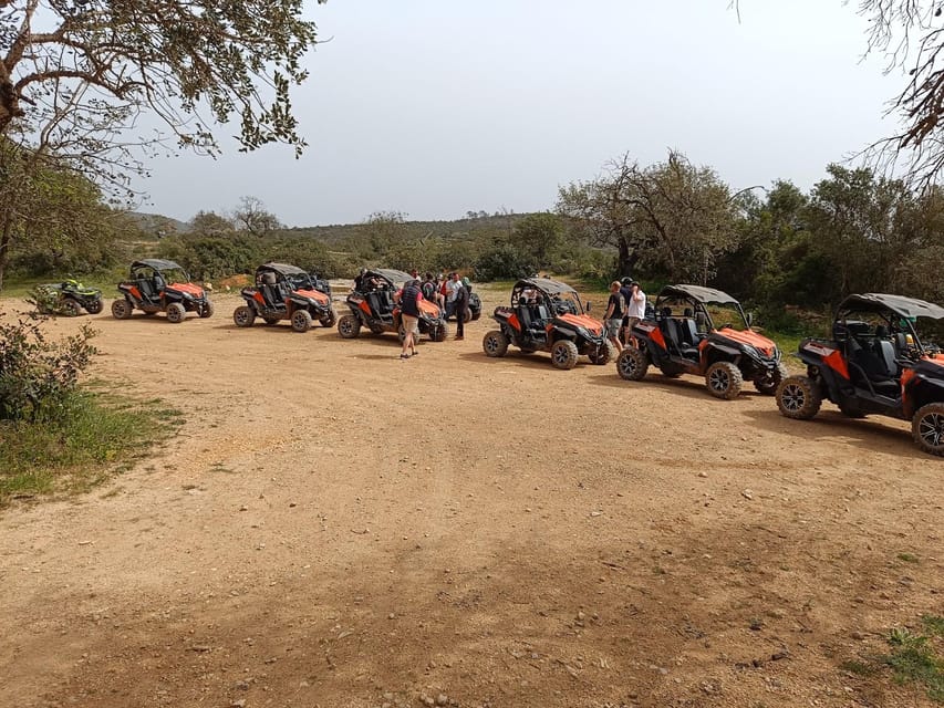 From Albufeira: Paderne Adventure Buggy Ride - Sharing a buggy and choosing your role