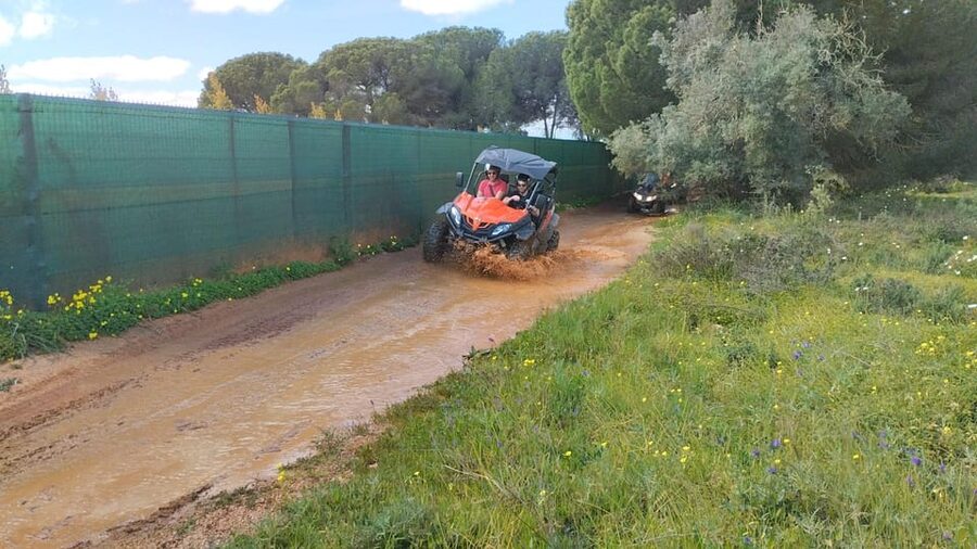 From Albufeira: Paderne Adventure Buggy Ride - Practical tips for a smoother ride