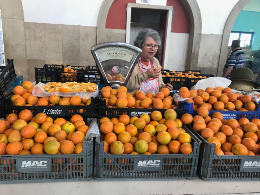 From Albufeira: Wine Tasting & Historic Silves Tour - Three wines and regional snacks