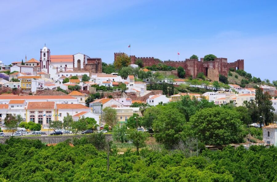 From Albufeira: Wine Tasting & Historic Silves Tour - What the four-hour schedule feels like