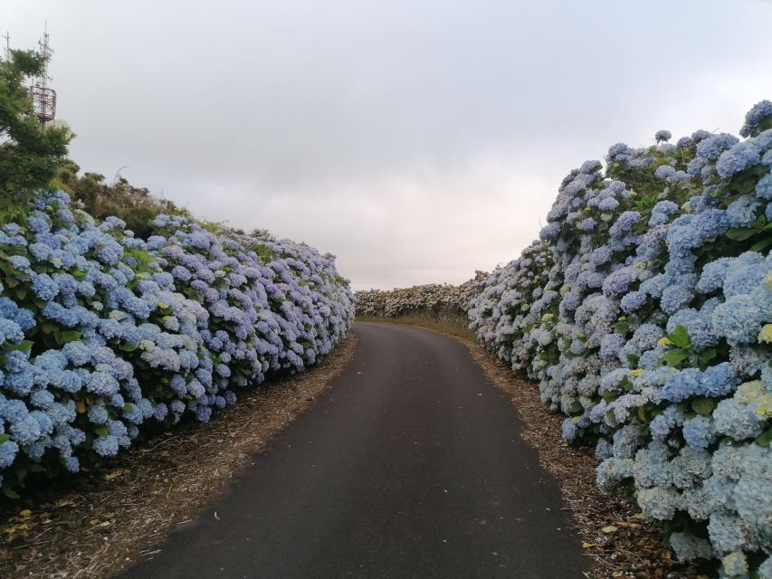 From Angra: Terceira Island Full-Day Tour - Free time in Praia da Vitória