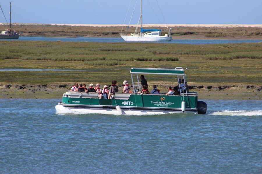 From Faro: 2-Island, 2-Stop Ria Formosa Catamaran Tour - Who will enjoy this Faro island trip