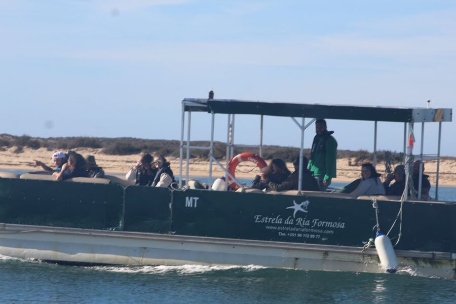 From Faro: 2-Island, 2-Stop Ria Formosa Catamaran Tour - Setting out from Faro through Ria Formosa
