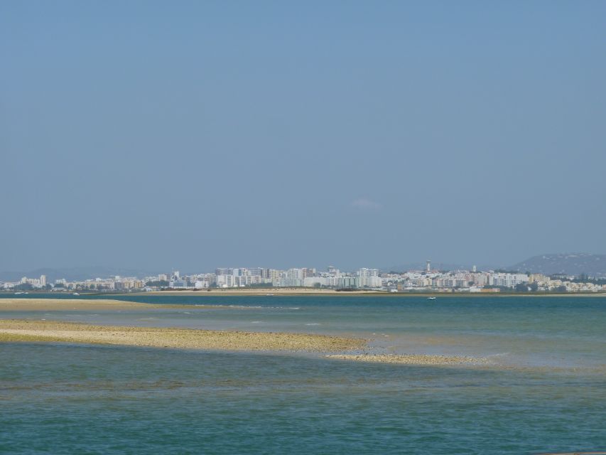 From Faro: 2-Island, 2-Stop Ria Formosa Catamaran Tour - The guide can shape the whole outing
